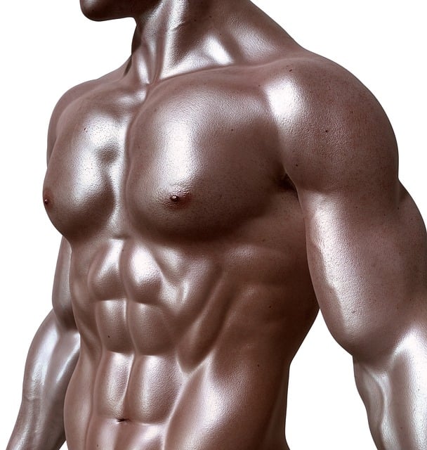 bodybuilder, six-pack, muscles